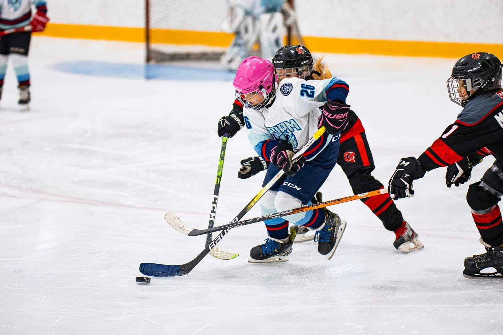 Storm Saison 2023-2024